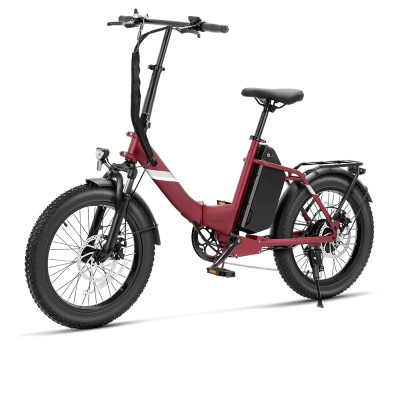 Touroll S3 Pro Vélo Électrique Pliant Fat Bike | 195km Autonomie, 750W