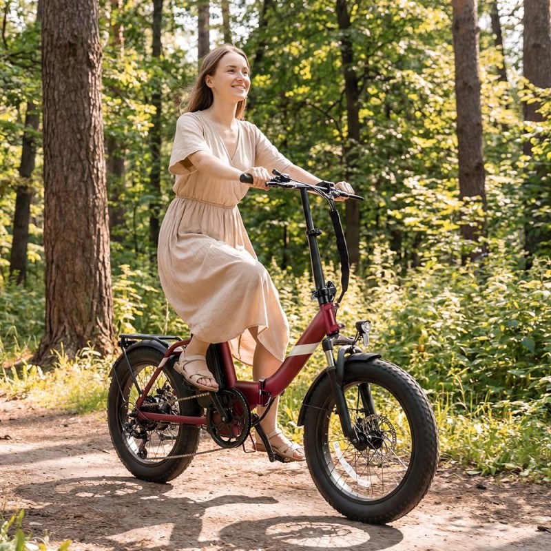Touroll S3 Pro Vélo Électrique Pliant Fat Bike | 195km Autonomie, 750W