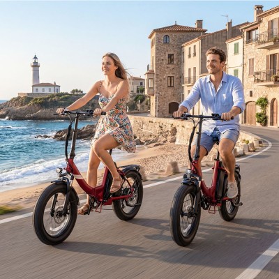 Touroll S3 Pro Vélo Électrique Pliant Fat Bike | 195km Autonomie, 750W