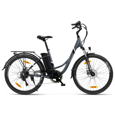 Touroll B1 Vélo Électrique de Ville | 250 W & 90 km Autonomie 2