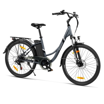Touroll B1 Vélo Électrique de Ville | 250 W & 90 km Autonomie