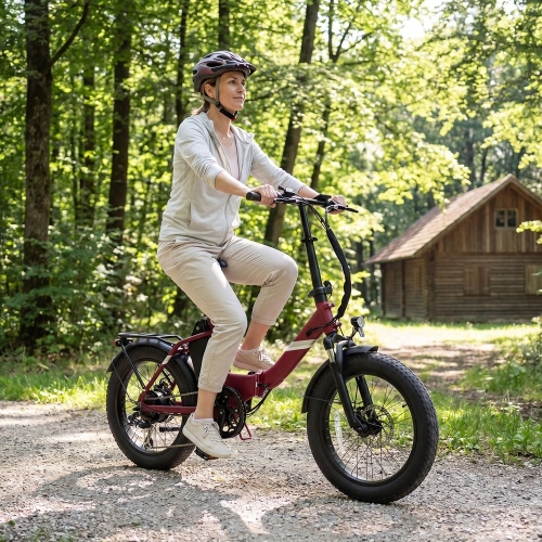 Touroll S3 : Vélo Électrique Tout-Terrain Pliable 20", Fat Bike 450W, 65km