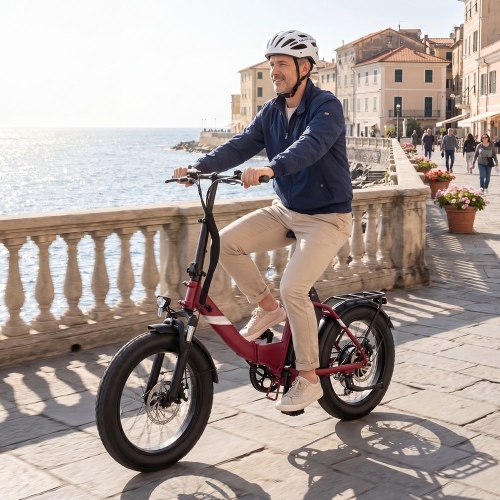 Touroll S3 : Vélo Électrique Tout-Terrain Pliable 20", Fat Bike 450W, 65km