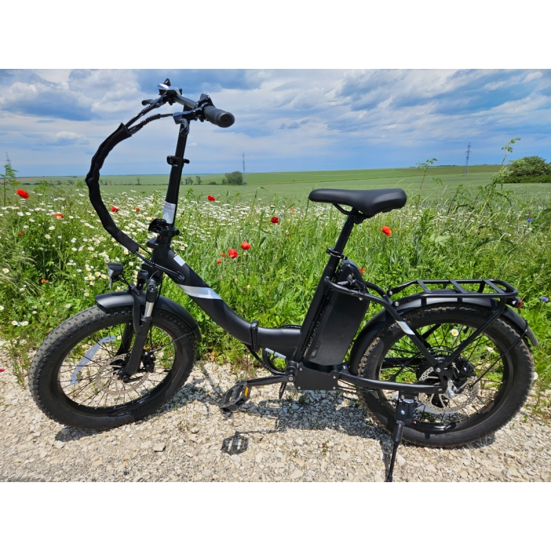 Touroll S3 : Vélo Électrique Tout-Terrain Pliable 20", Fat Bike 450W, 65km