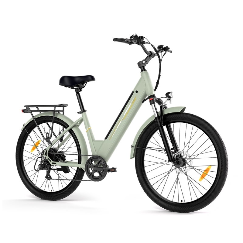 Junglor J1 Vélo Électrique | Moteur 250W & Autonomie 100km
