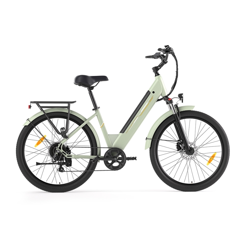 Junglor J1 Vélo Électrique | Moteur 250W & Autonomie 100km