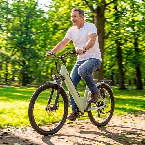 Junglor J1 Vélo Électrique | Moteur 250W & Autonomie 100km