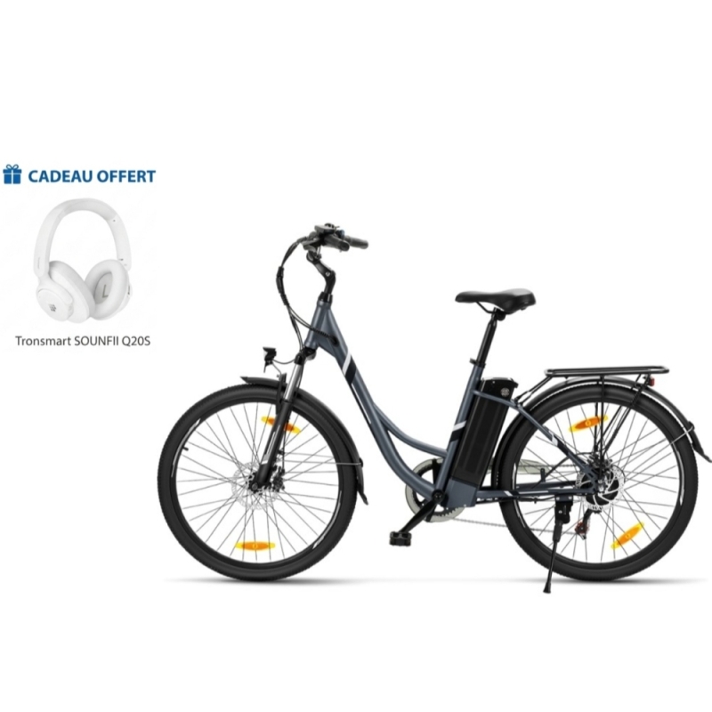 Touroll B1 Vélo Électrique de Ville | 250 W & 90 km Autonomie