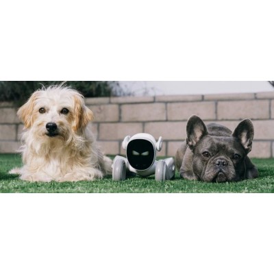 Loona EPP3.0 Chien Robot IA GPT-4o - Contrôle Vocal/Gestuel, Interaction Enfant, Moniteur Domestique, Multilingue-Blanc