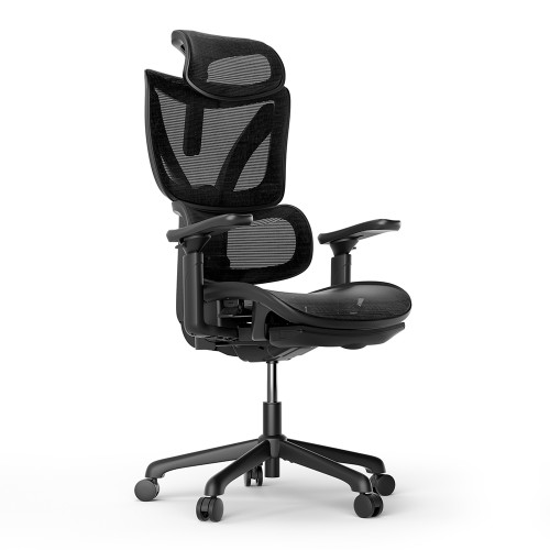 Chaise de bureau ergonomique pour jeux ACGAM CG-5245M avec diverses options réglables 2