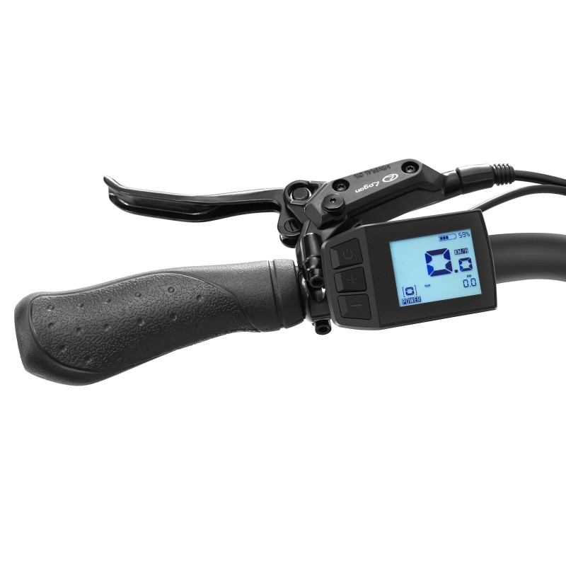 Touroll Urbano 3 Vélo Électrique à Moteur Central — 250 W 70 Nm, Autonomie 120 km, Shimano 7 Vitesses