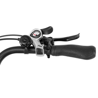 Touroll Urbano 3 Vélo Électrique à Moteur Central — 250 W 70 Nm, Autonomie 120 km, Shimano 7 Vitesses